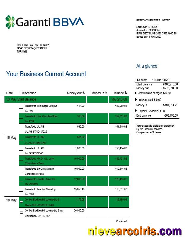 Garanti BBVA Bank enterprise statement
